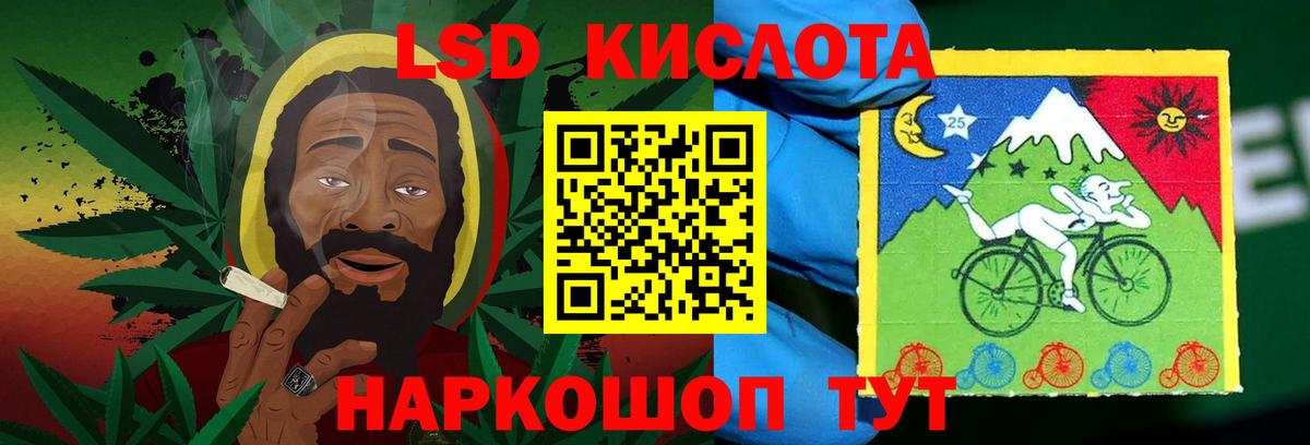 МЕГА ССЫЛКА  Вход с VPN  LSD-25 экстази  Каменка  Лсд 25 экстази ecstasy 