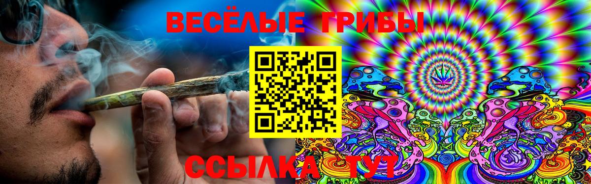 Псилоцибиновые грибы мухоморы  Вход с VPN  Каменка  Галлюциногенные грибы Psilocybine cubensis 