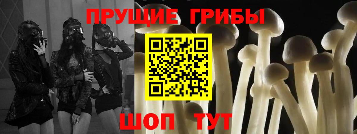 Галлюциногенные грибы Cubensis Каменка